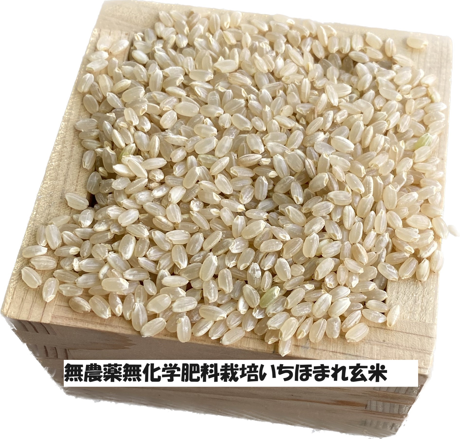 冬眠米パック 蒼の元米 玄米20kg （5kg ×4p） - 食品