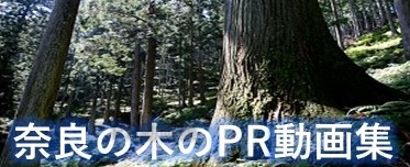 奈良の木のPR動画集