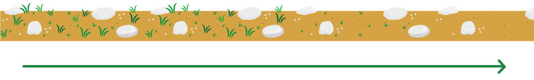 除草塩は、雑草自体が生えにくい土壌（環境）へと徐々に変化させていきます