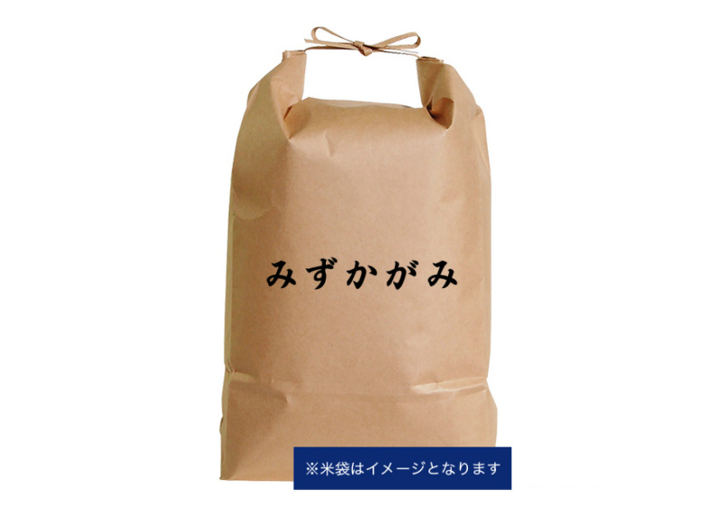 滋賀県産 みずかがみ 近江米